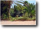 Monte Pego Spanish Villas, resales - The most beautiful residential community in the Costa Blanca North of Spain - Spanish Property, Villas in Spain, spanish villa, re-sales, retirement